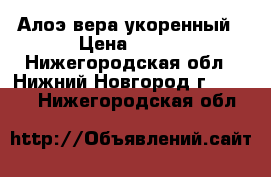 Алоэ вера укоренный › Цена ­ 150 - Нижегородская обл., Нижний Новгород г.  »    . Нижегородская обл.